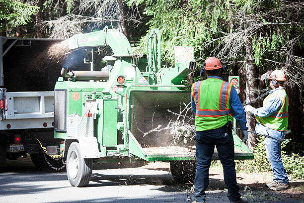 Seasonal Cleanup (Spring/Fall) in Akron, PA